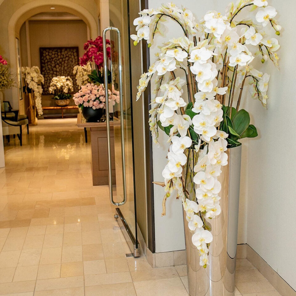 Orchidées Phalaenopsis en cascade dans un cône effilé en acier inoxydable poli