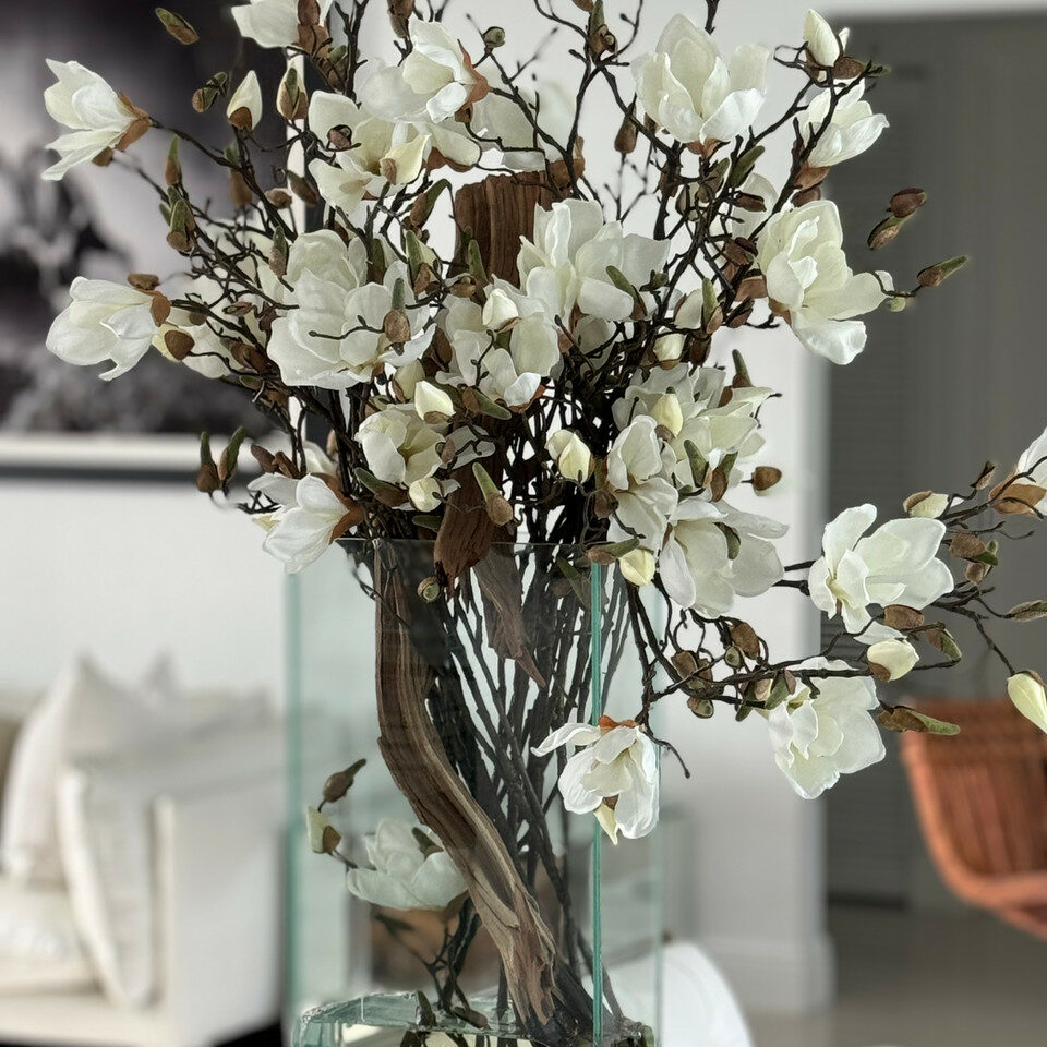 Magnolias blancs dans 16″ de hauteur Casa Moderna