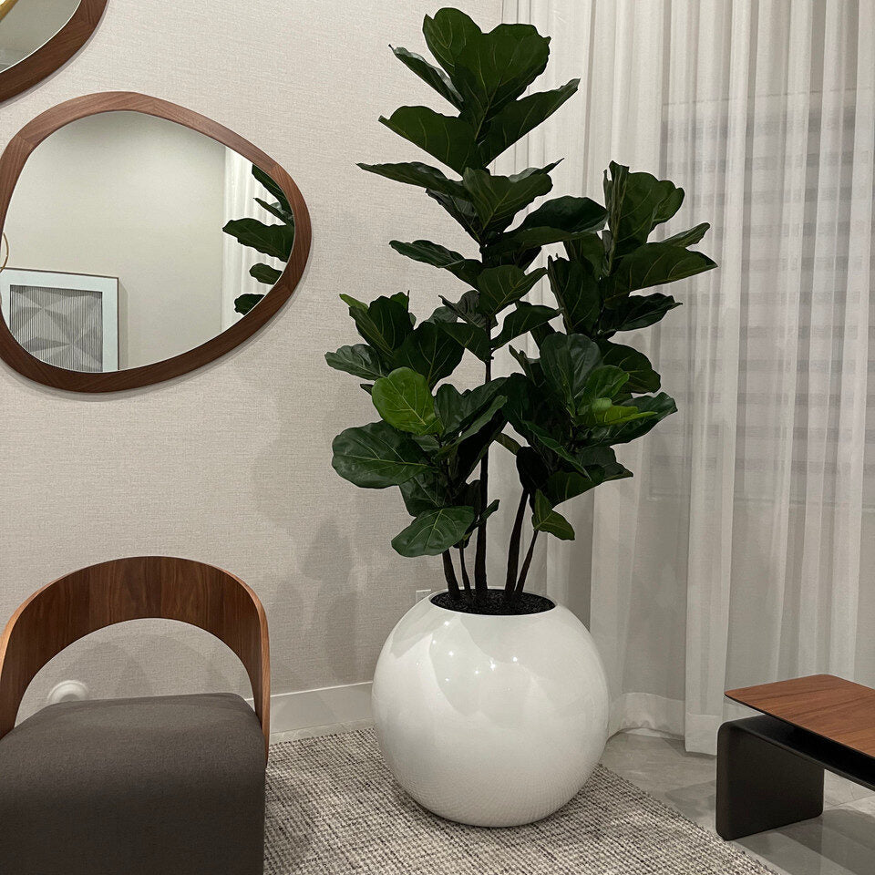 Jardinière sphérique de 76 cm avec arbre violoniste