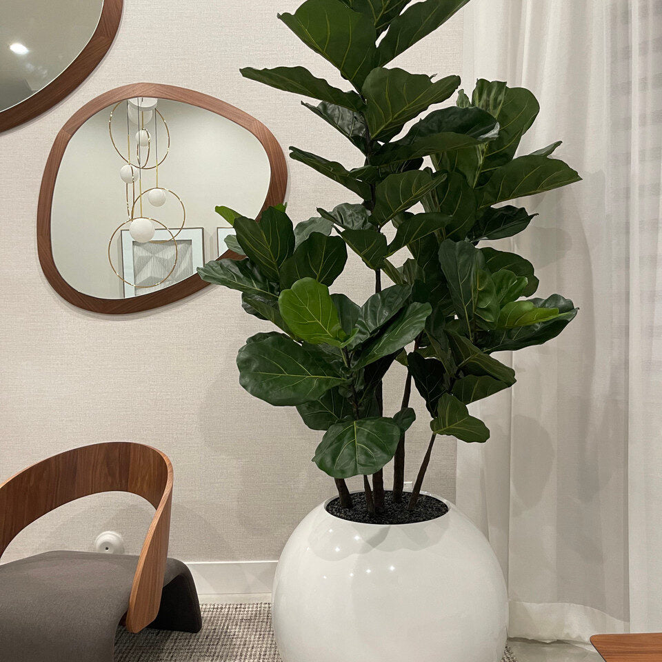 Jardinière sphérique de 76 cm avec arbre violoniste