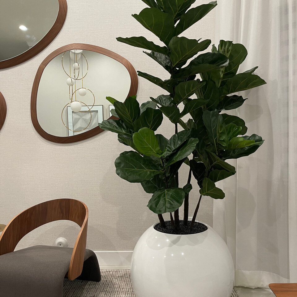 Jardinière sphérique de 76 cm avec arbre violoniste