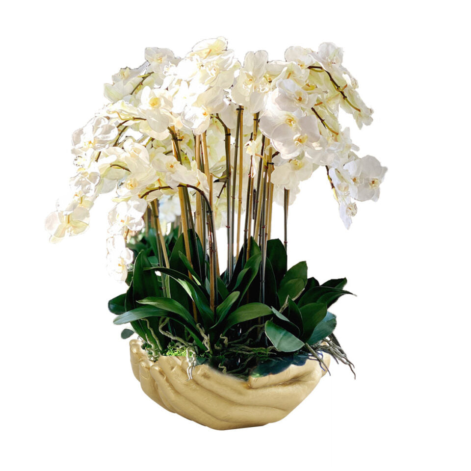 Orchidées Phalaenopsis blanches dans un vase sculpture doré en forme de mains ouvertes