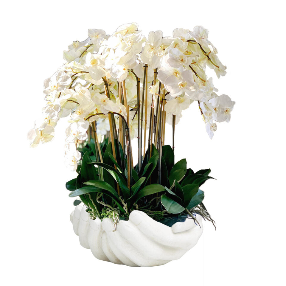 Orchidées Phalaenopsis blanches dans un vase sculpture en forme de mains ouvertes blanches