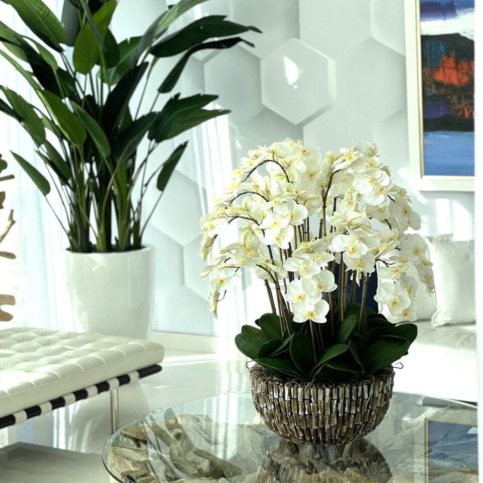 Vase extra large en nacre d'ormeau avec orchidées blanches en cascade