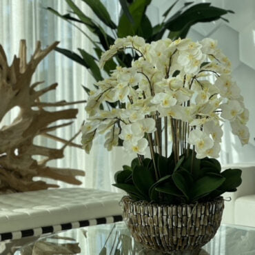 Vase extra large en nacre d'ormeau avec orchidées blanches en cascade
