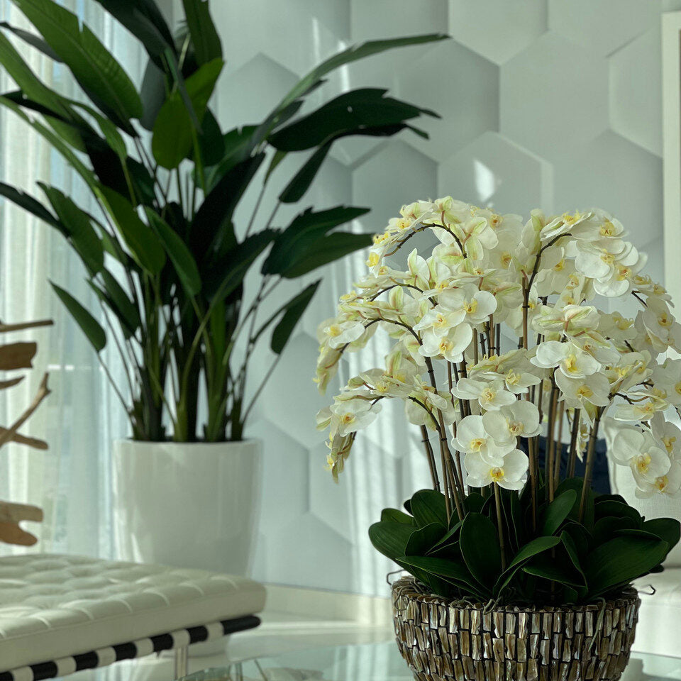 Vase extra large en nacre d'ormeau avec orchidées blanches en cascade