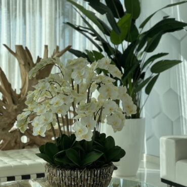 Vase extra large en nacre d'ormeau avec orchidées blanches en cascade