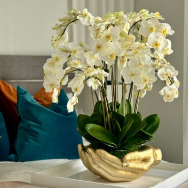Orchidées Phalaenopsis blanches dans un vase sculpture doré en forme de mains ouvertes
