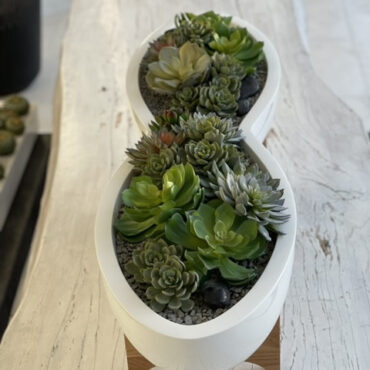 Pot de fleurs et support Infinity en fibre de verre blanche avec plantes succulentes