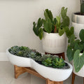 Pot de fleurs et support Infinity en fibre de verre blanche avec plantes succulentes