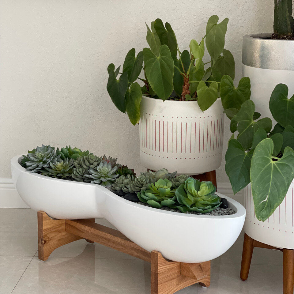 Pot de fleurs et support Infinity en fibre de verre blanche avec plantes succulentes