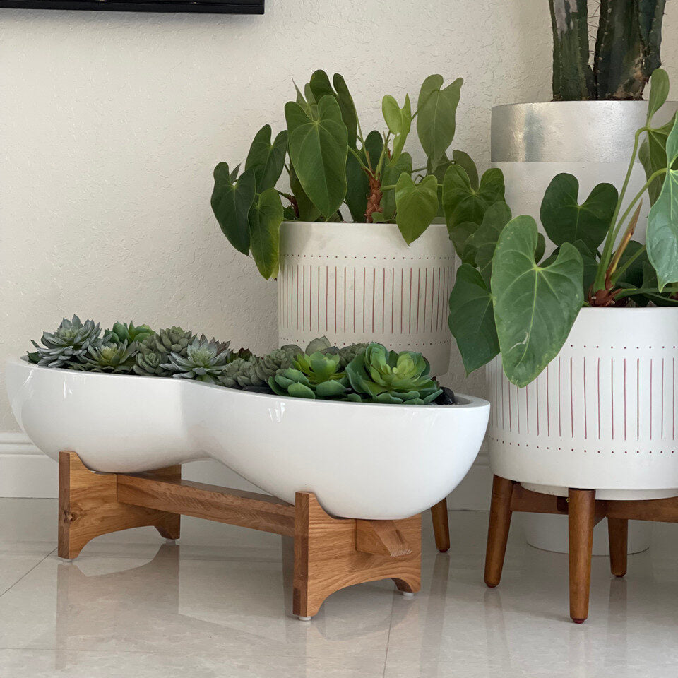 Pot de fleurs et support Infinity en fibre de verre blanche avec plantes succulentes