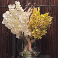 Vase Lune avec orchidées Vanda blanches et cymbidiums verts