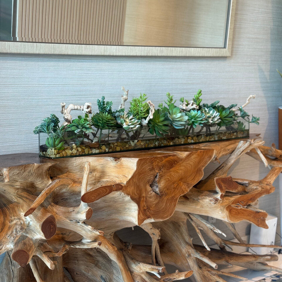 Jardinière rectangulaire en verre Casa Moderna de 122 cm (48 po) avec plantes succulentes et bois flotté