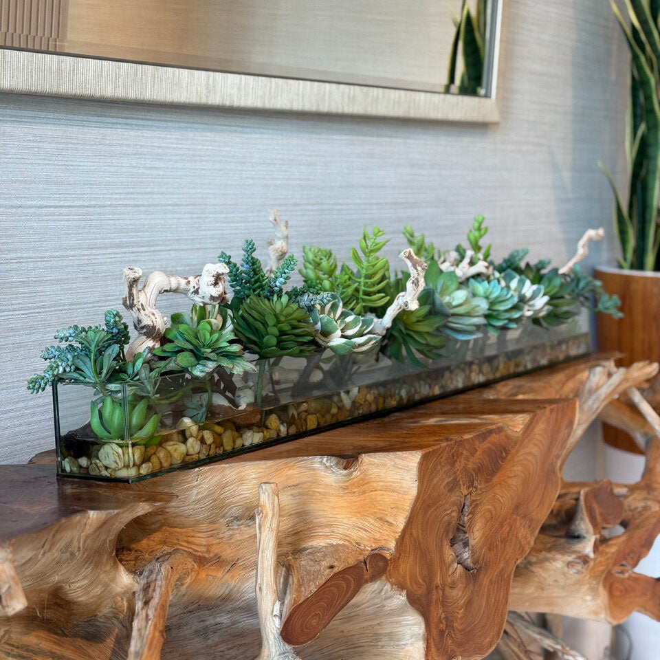 Jardinière rectangulaire en verre Casa Moderna de 122 cm (48 po) avec plantes succulentes et bois flotté