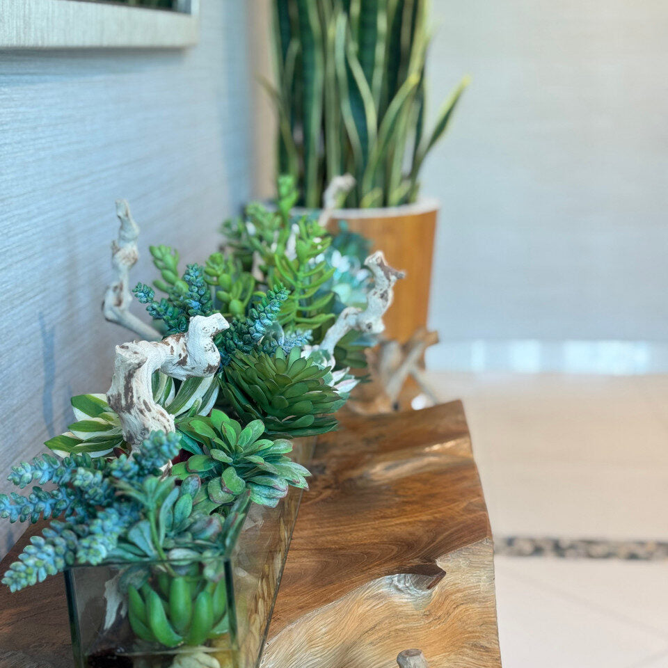 Jardinière rectangulaire en verre Casa Moderna de 122 cm (48 po) avec plantes succulentes et bois flotté