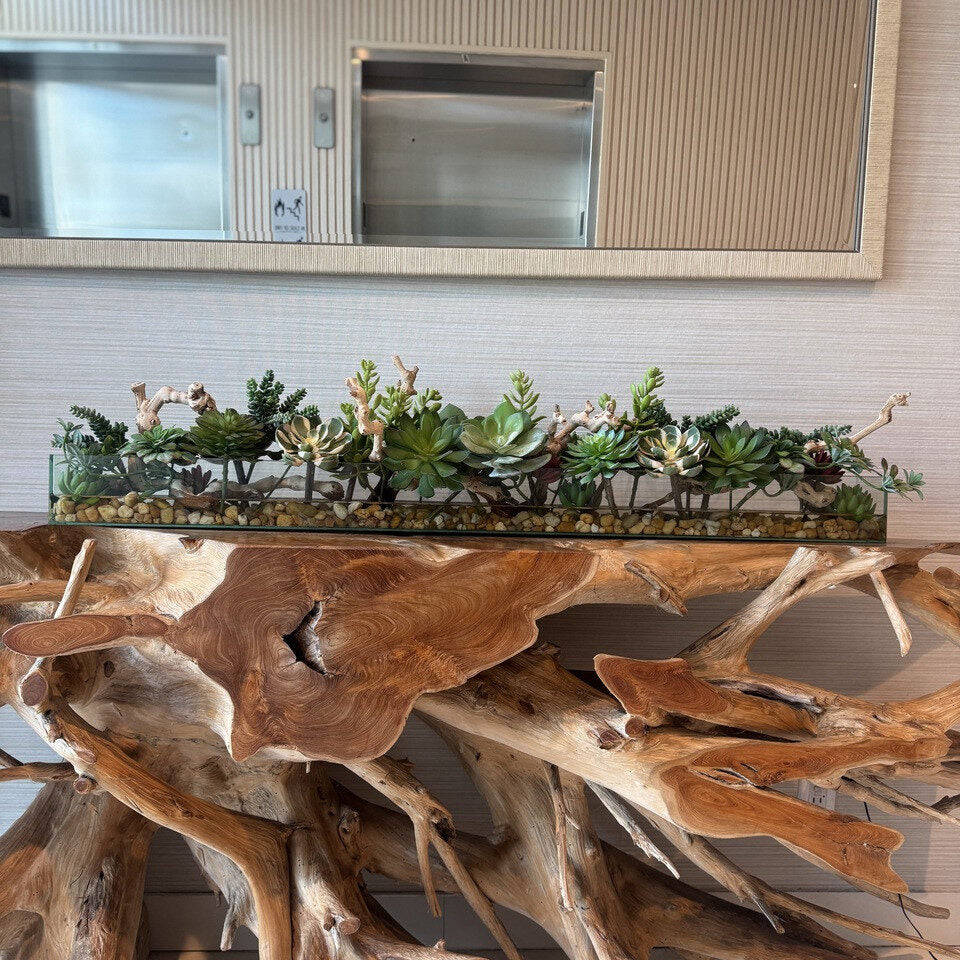 Jardinière rectangulaire en verre Casa Moderna de 122 cm (48 po) avec plantes succulentes et bois flotté