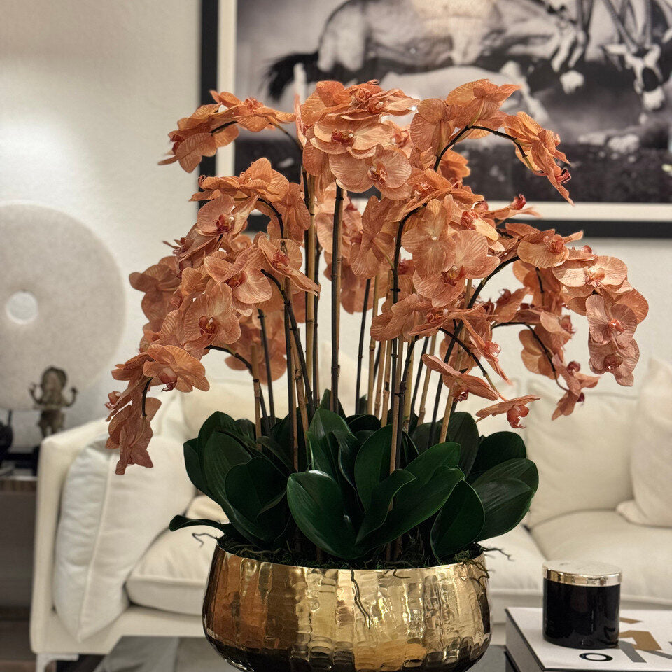 Orchidées brun clair dans un bol Roberi doré
