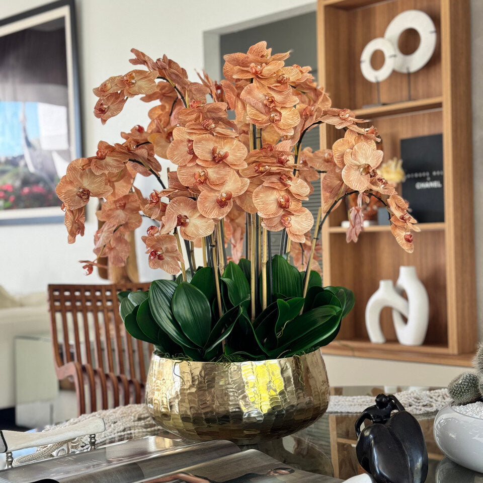 Orchidées brun clair dans un bol Roberi doré