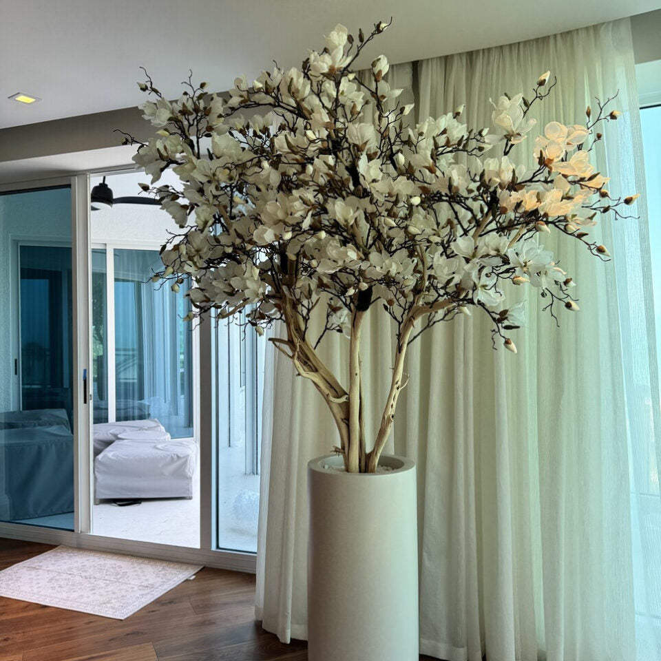 Magnolia blanc de 2,4 m dans un pot St. Tropez beige mat
