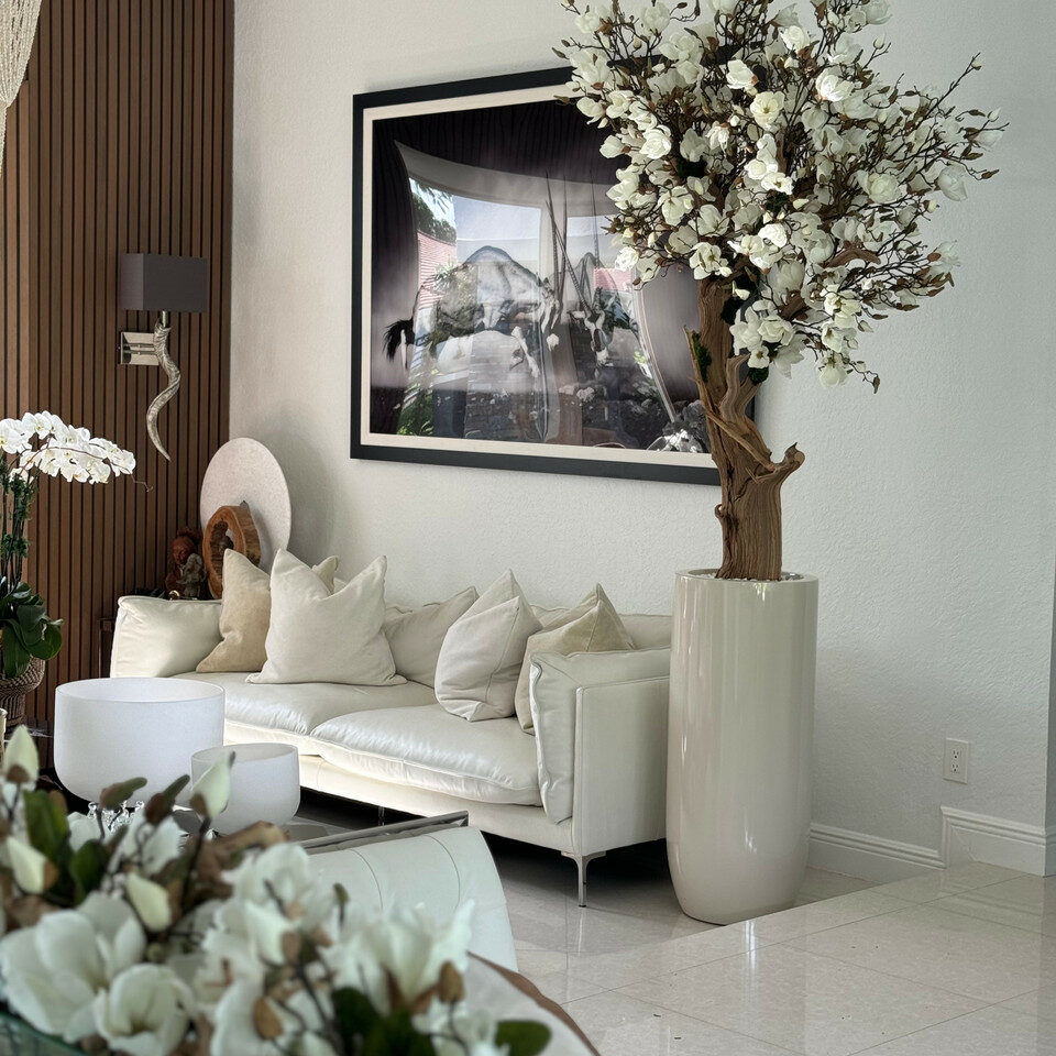 Magnolia blanc de 2,4 m dans un pot St. Tropez beige brillant