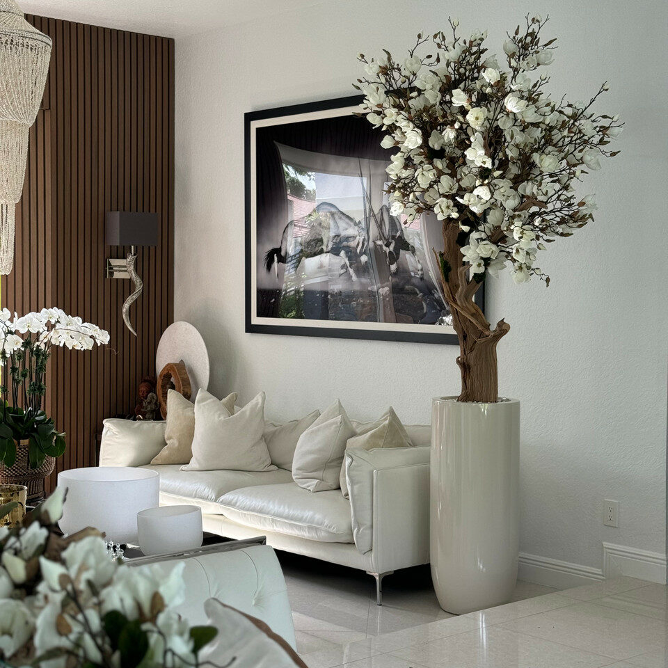 Magnolia blanc de 2,4 m dans un pot St. Tropez beige brillant