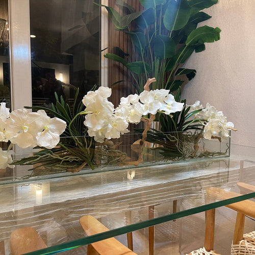 36″ Slim Casa Moderna avec orchidées Vanda blanches.