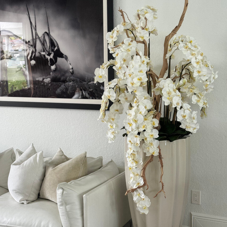 Jardinière San José couleur sable beige avec orchidées blanches en cascade