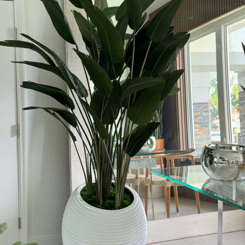 Oiseau de paradis dans un pot en spirale blanc