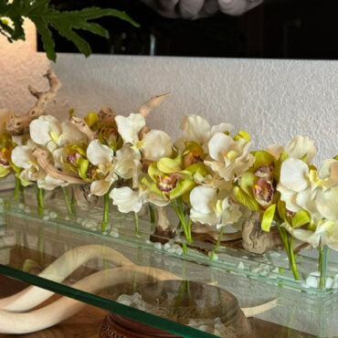 Maison moderne avec des Vandas blanches et des Cymbidiums verts