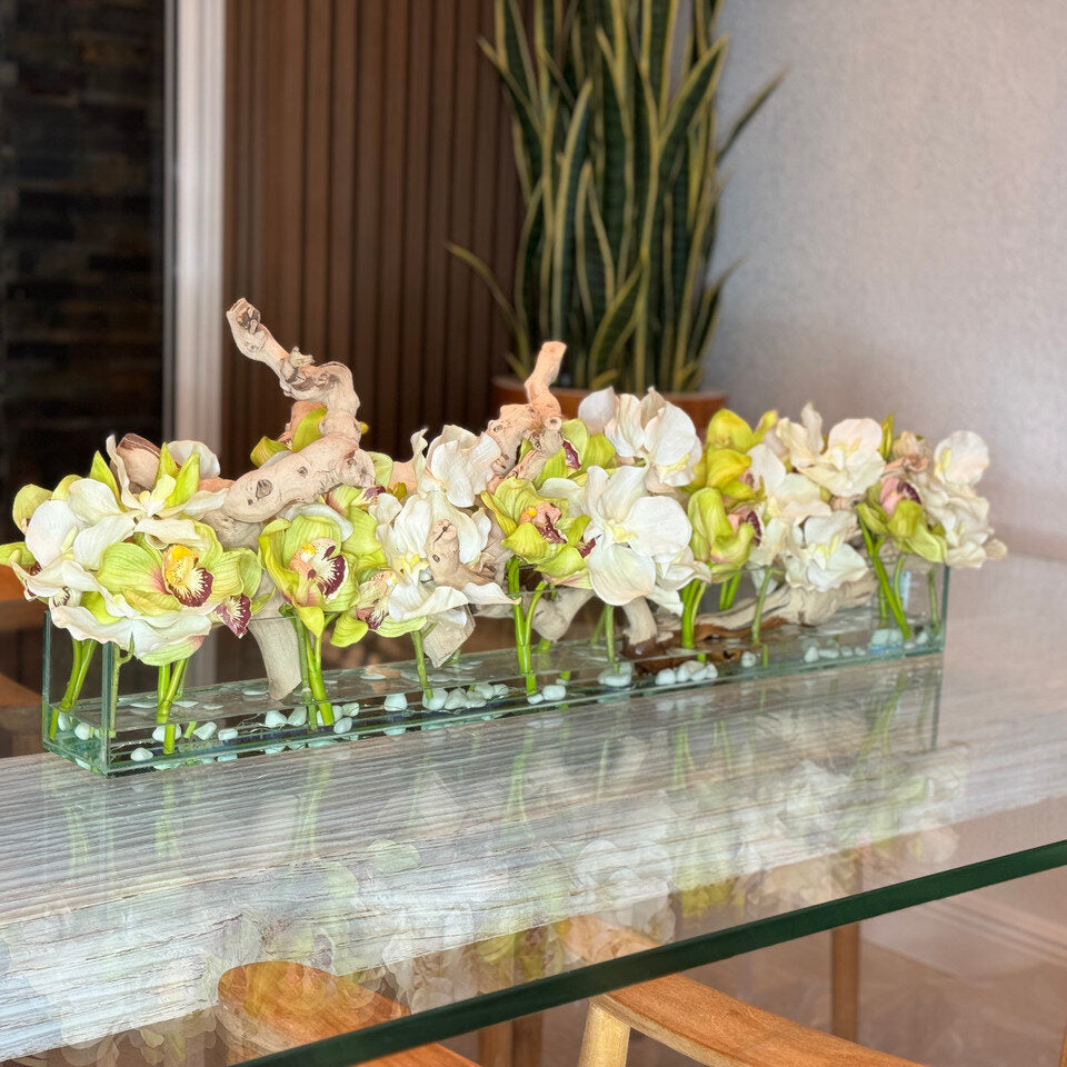 Maison moderne avec des Vandas blanches et des Cymbidiums verts