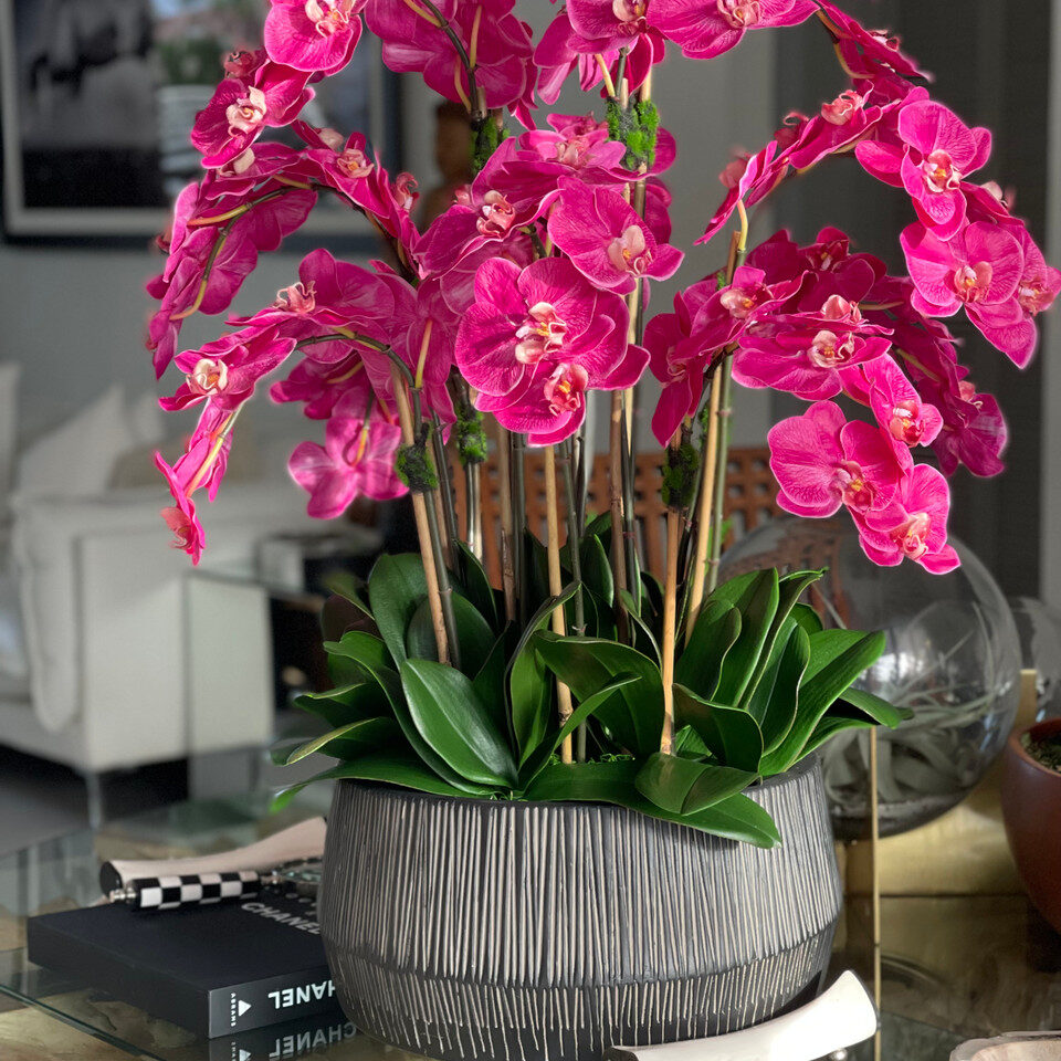 Bol Java avec orchidées Phalaenopsis roses
