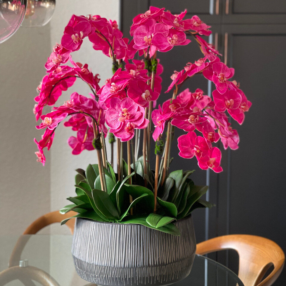 Bol Java avec orchidées Phalaenopsis roses