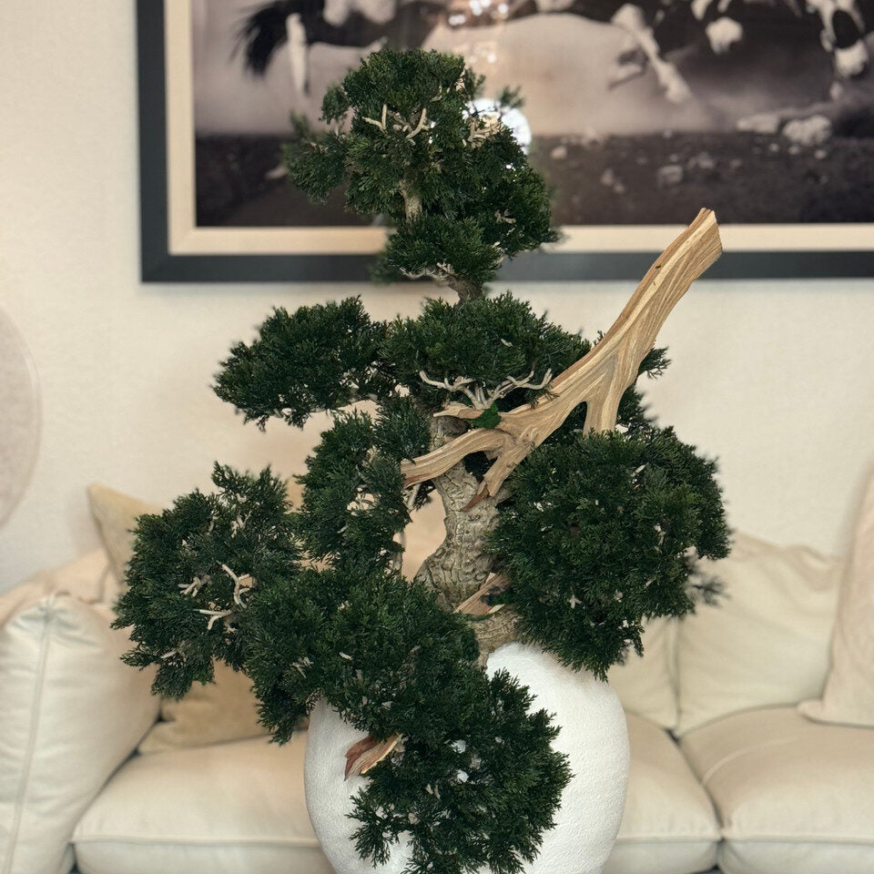 Vase Konos avec style Bonsaï semi-cascade (Han-kengai)