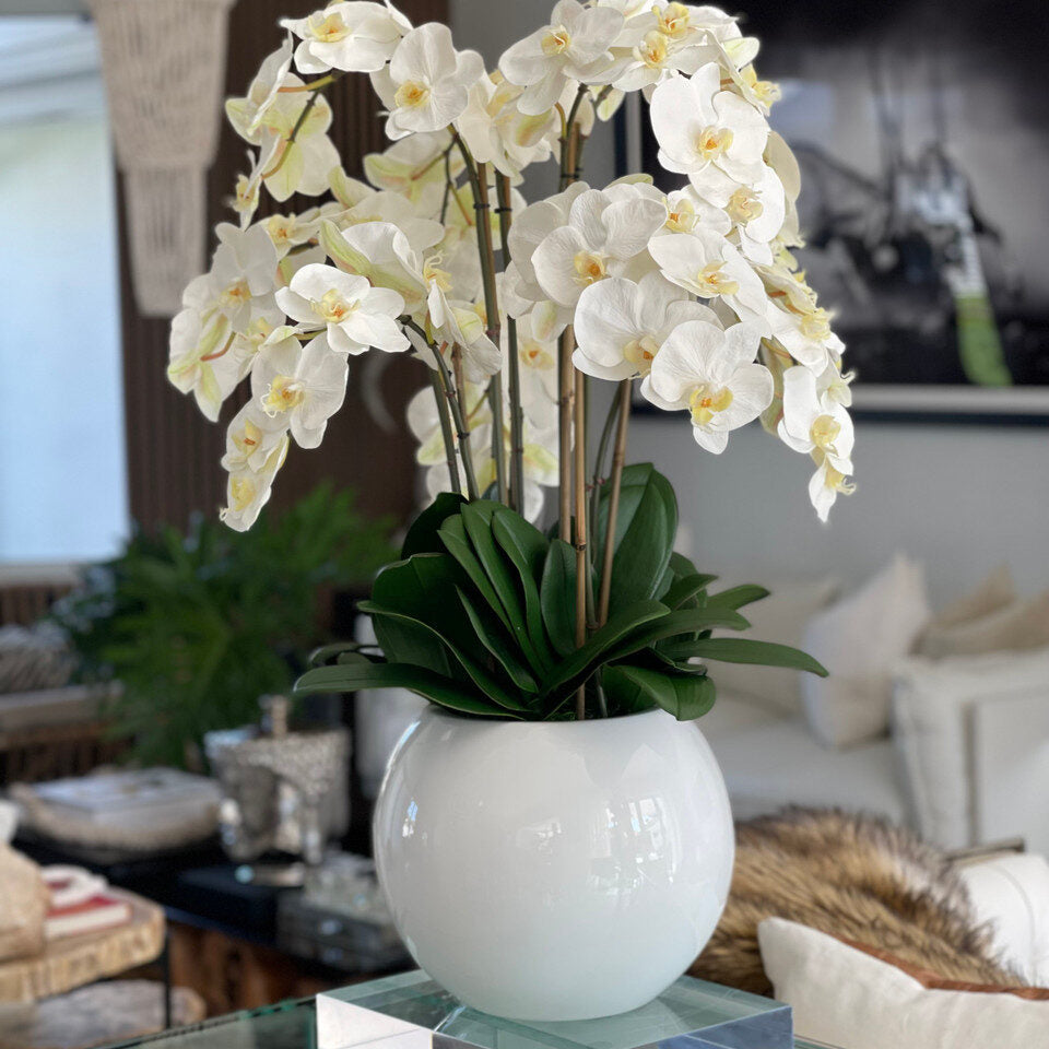 Bol en fibre de verre Beth avec orchidées Phalaenopsis et feuillage