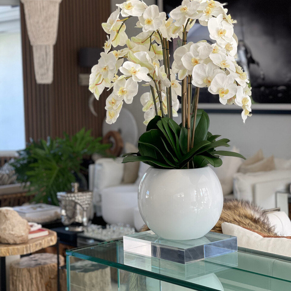Bol en fibre de verre Beth avec orchidées Phalaenopsis et feuillage