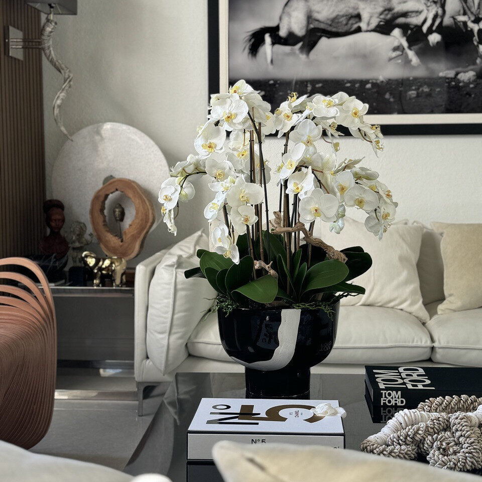 Orchidées blanches dans un bol Kempff