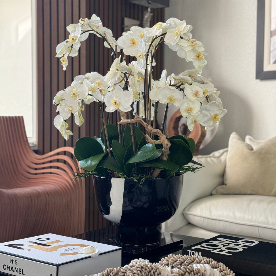 Orchidées blanches dans un bol Kempff
