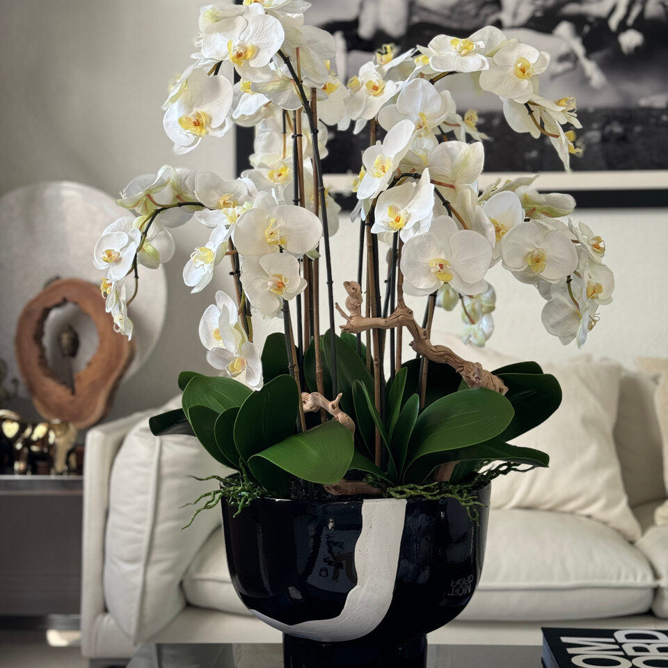 Orchidées blanches dans un bol Kempff