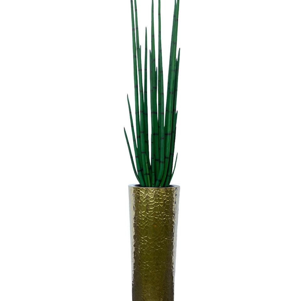 Cône conique martelé en acier inoxydable (71 cm) avec grande plante serpent