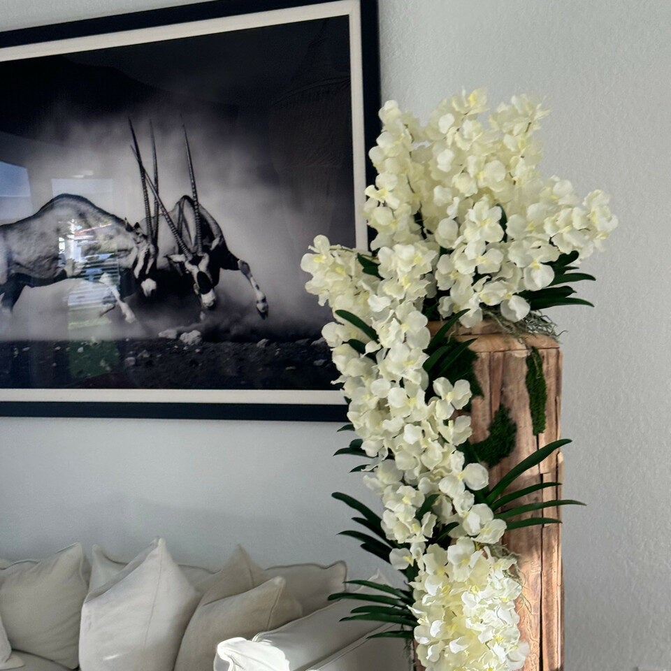 Grand vase en teck à bord naturel avec orchidées Vanda blanches