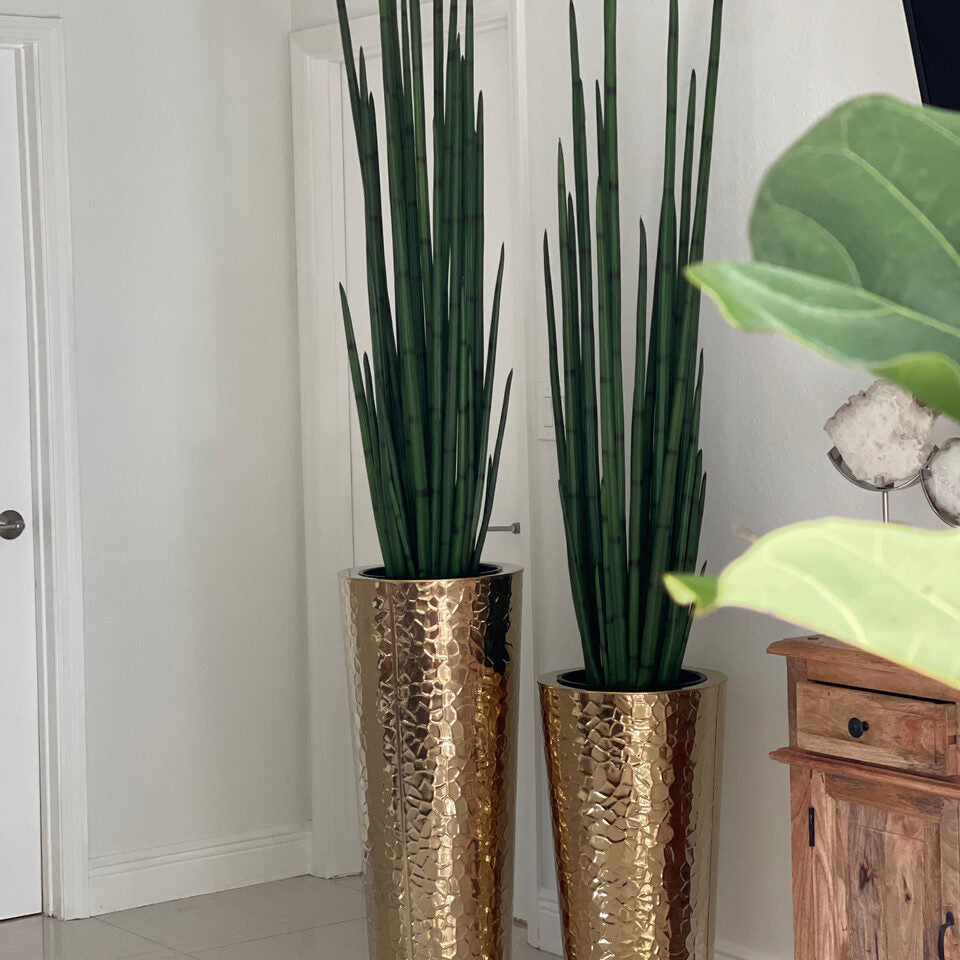 Cône conique martelé en acier inoxydable (71 cm) avec grande plante serpent