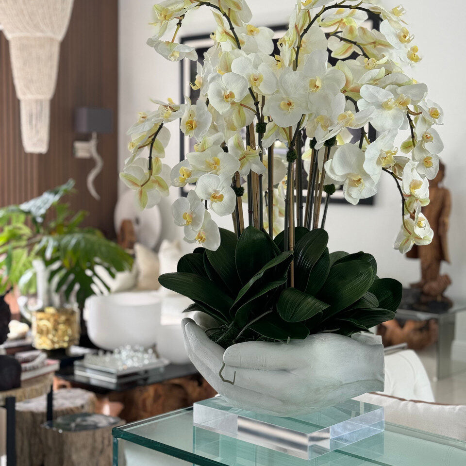 Orchidées Phalaenopsis blanches dans un vase sculpture en forme de mains ouvertes blanches