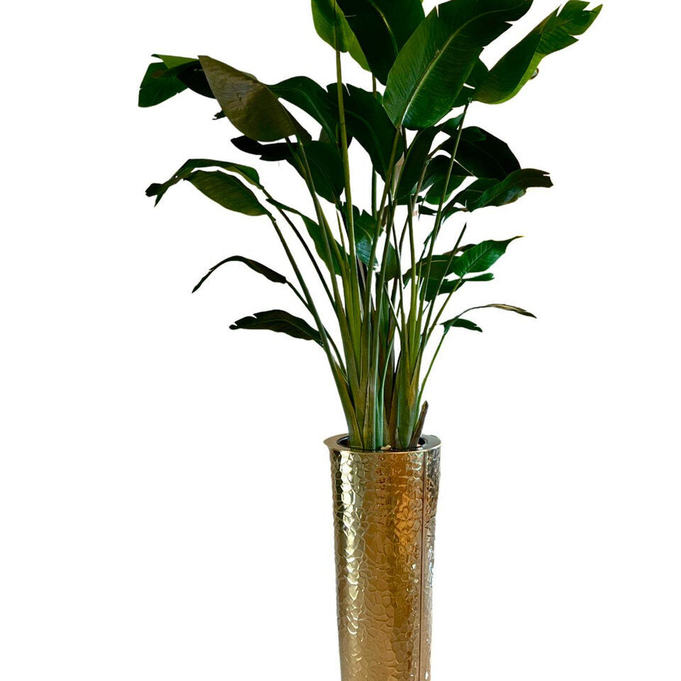 Jardinière martelée dorée avec oiseau de paradis (7′)