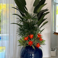 Plantes tropicales mélangées dans un pot globe bleu cobalt