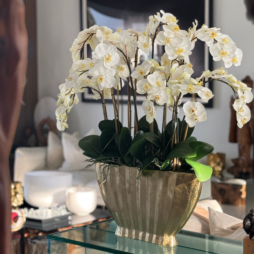 Vase Vivien Gold avec orchidées Phalaenopsis blanches