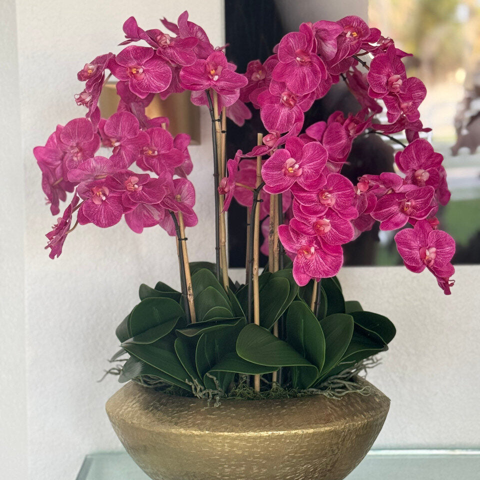 Bol Blaze avec orchidées Phalaenopsis roses