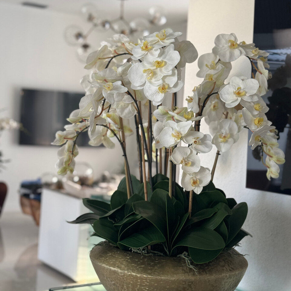 Bol Blaze avec orchidées Phalaenopsis blanches