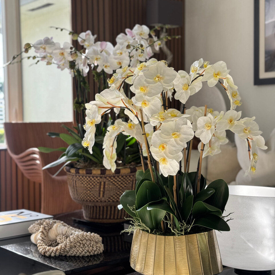 Jardinière bateau Helena avec orchidées Phalaenopsis blanches