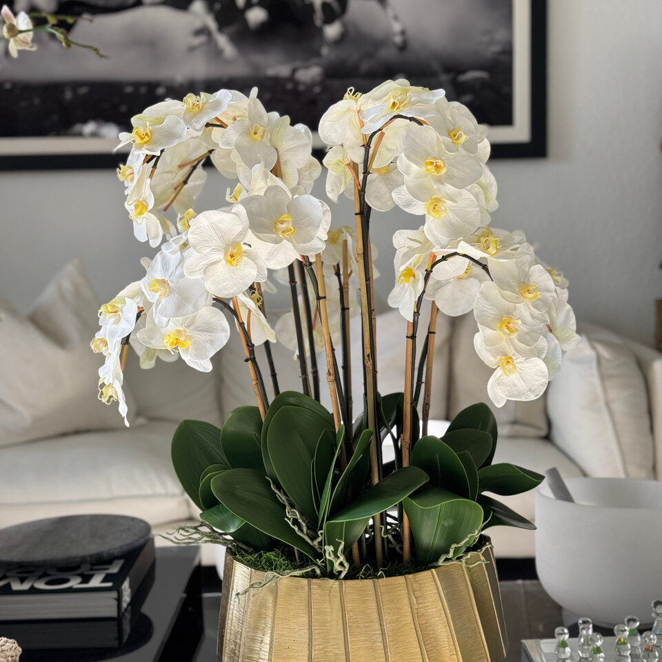 Jardinière bateau Helena avec orchidées Phalaenopsis blanches